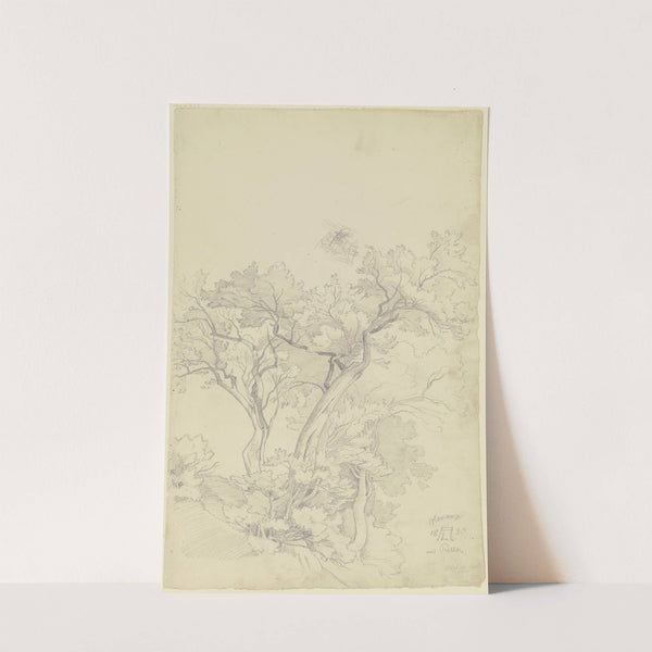 Trees near Olevano by August Lucas