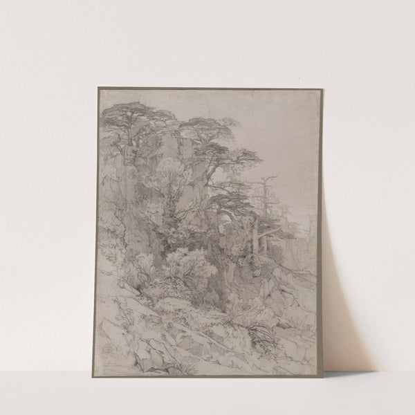 Trees of a Rocky Hillside (late 1800s) by Gustave-Achille Guillaumet