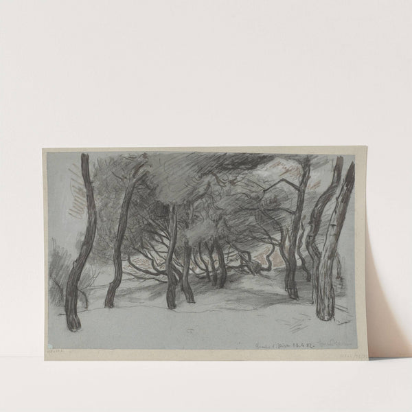 Trees on a Beach in Gombo near Pisa (1887) by Hans Thoma