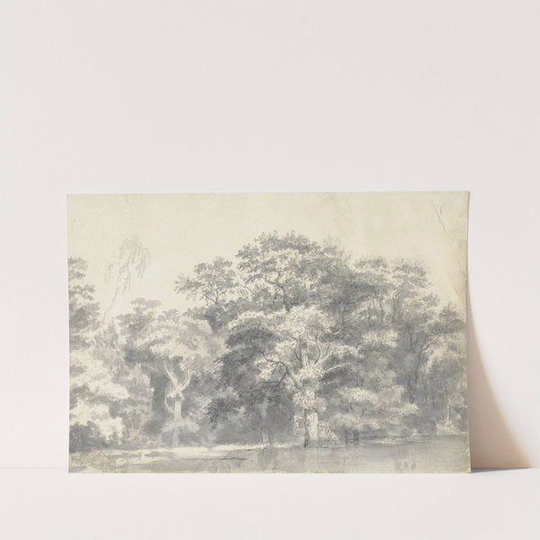 Trees on a River Bank by Thomas Wijck