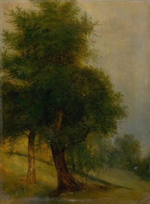 Trees on a Slope (1870)