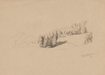 Trees on the Edge of a Forest (1870)