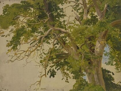 Treetop (1840)
