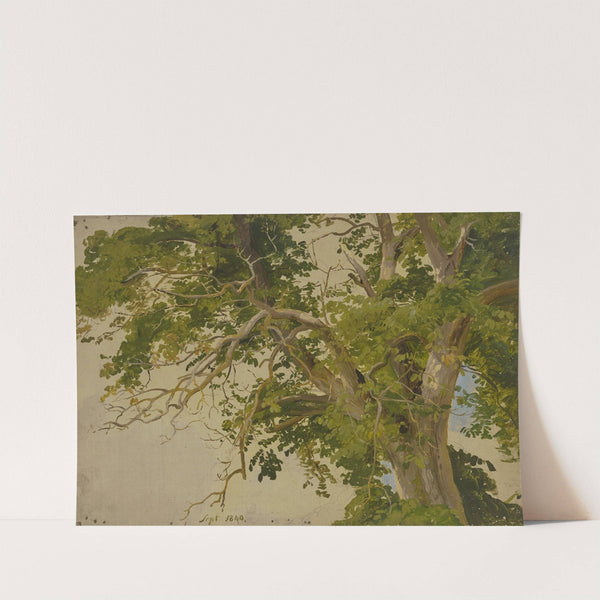 Treetop (1840) by Jakob Becker