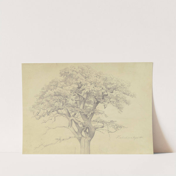 Treetop by Edmund Kanoldt