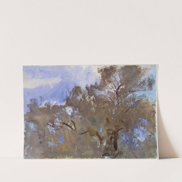 Treetops against Sky by John Singer Sargent