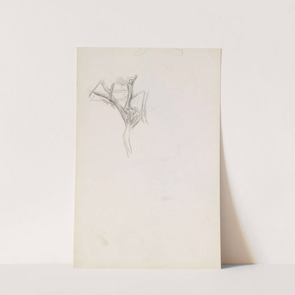 Trestudie by Signe Scheel