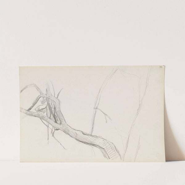 Trestudie by Signe Scheel