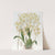 Triangular-lipped Oncidium by Sydenham Edwards
