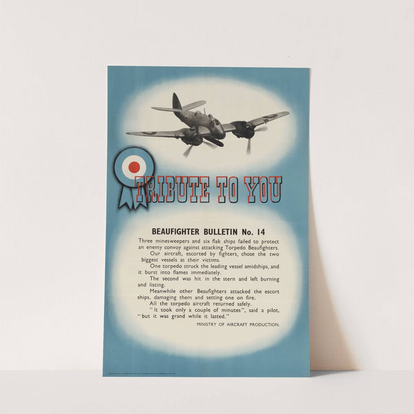 Tribute to You - Beaufighter Bulletin No. 14 by Anonymous