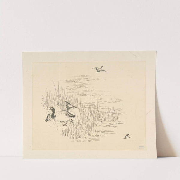 Trois canards et un quatrième qui vole. (1866 - 1878) by Félix Bracquemond