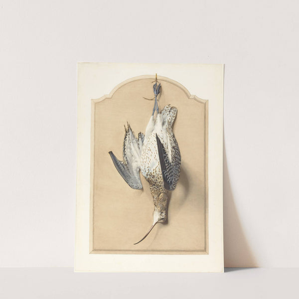 Trompe l'Oeil - A Curlew Hanging from a Nail by Édouard Traviès