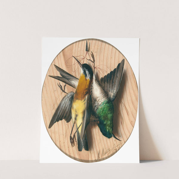 Trompe l'oeil, songbirds by Michelangelo Meucci
