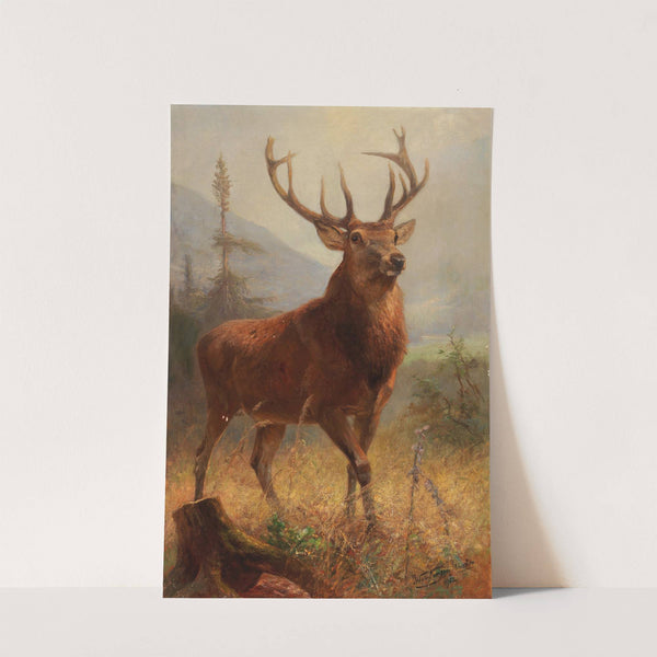 Trophy Stag in an Open Landscape by Anton Weinberger