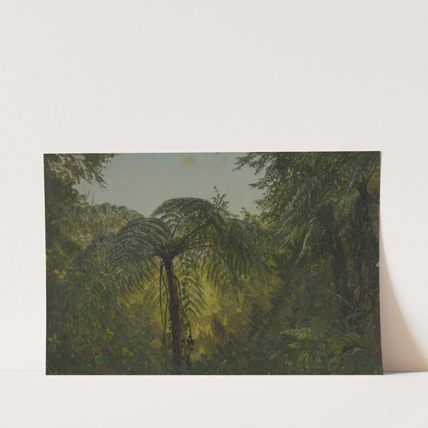 Tropical Landscape (June or July 1865) by Frederic Edwin Church