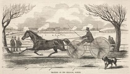 Trotting on the Mill Dam, Boston (1859)