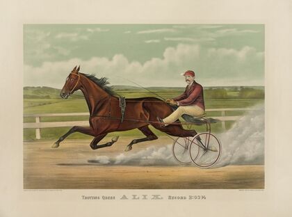 Trotting Queen Alix (1894)