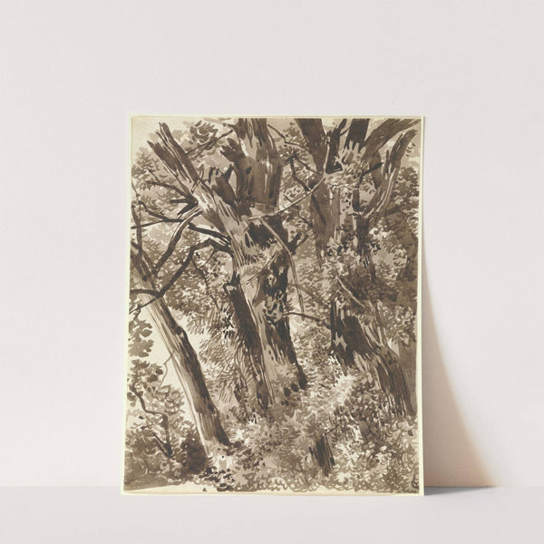 Trunks and Branches by Franz Kobell