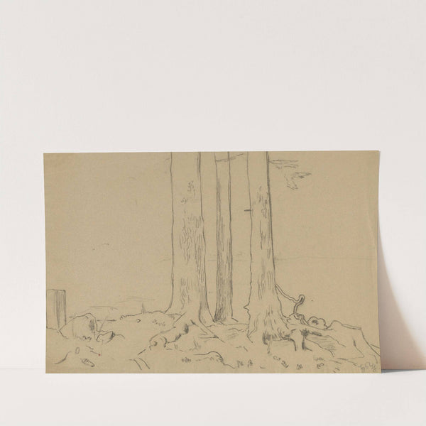 Trunks of Three Trees (1900) by Hans Thoma