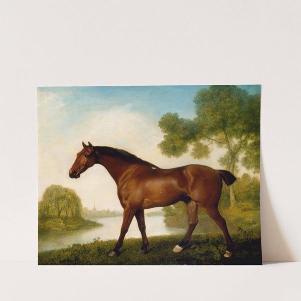 Truss, A Hunter by George Stubbs