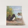 Tufted Duck (1913) by Archibald Thorburn