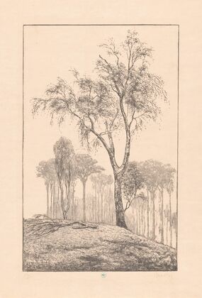 Tuin met rozenbogen op landgoed Zorgvliet Zorgvliet I (1929)
