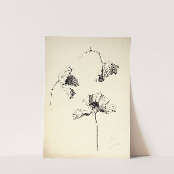 Tulbid (1899) by Lilly Walther