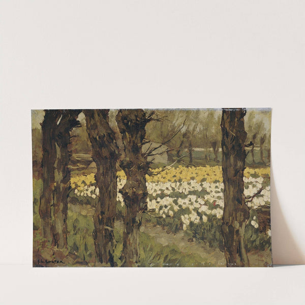 Tulip Fields by Anton L. Koster