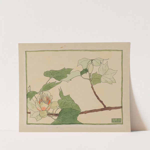 Tulip Tree by Hannah Borger Overbeck