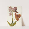 Tulips by Dutch School