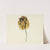 Tulp genaamd Bizard Leodie (1741 - 1795) by Cornelis van Noorde