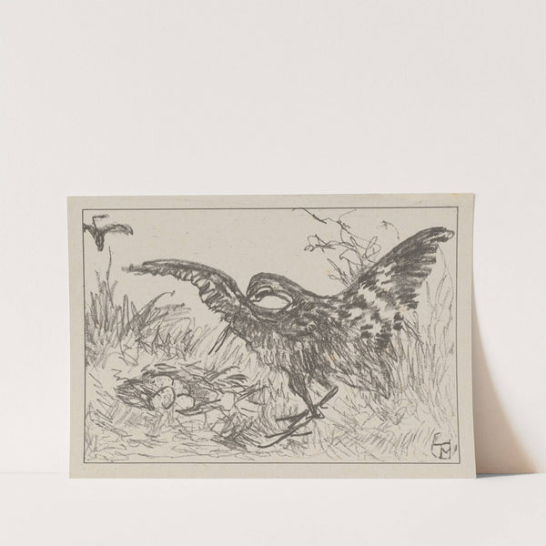 Tureluur bij nest by Theo van Hoytema