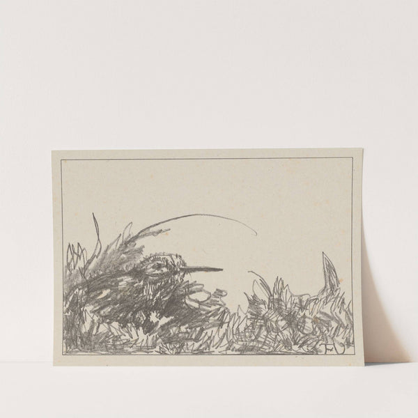 Tureluur in het gras by Theo van Hoytema