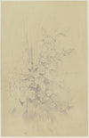 Saint Anne with the Christ Child, the Virgin and Saint John the Baptist