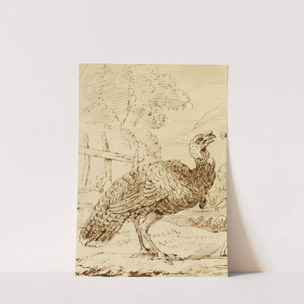 Turkey by Benjamin West