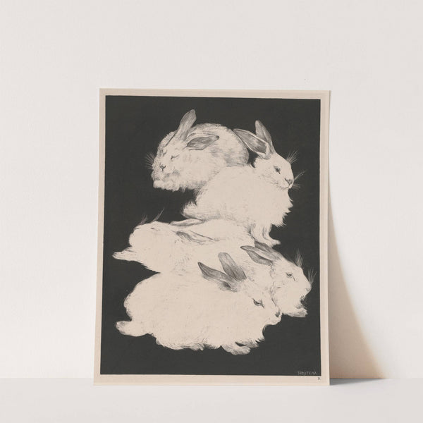 Twee angorakonijnen by Theo van Hoytema