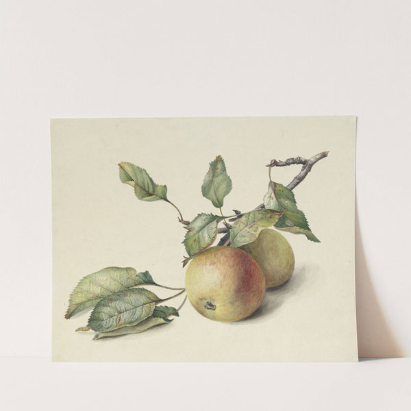 Twee appeltjes aan een tak by Johannes Reekers II