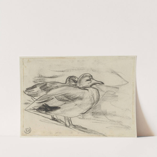 Twee eenden by Theo van Hoytema