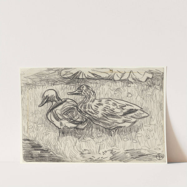 Twee eenden by Theo van Hoytema