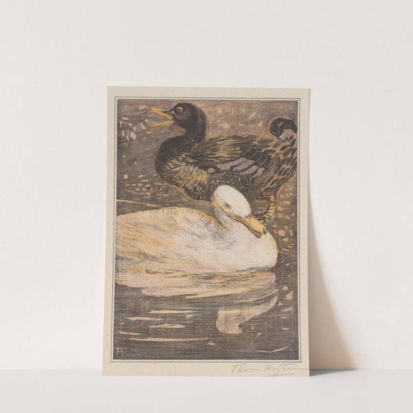 Twee eenden by Theo van Hoytema