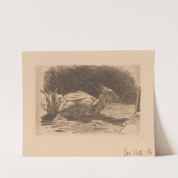 Twee geiten (1886) by Jan Veth
