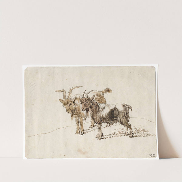 Twee geiten by Barend Hendrik Thier
