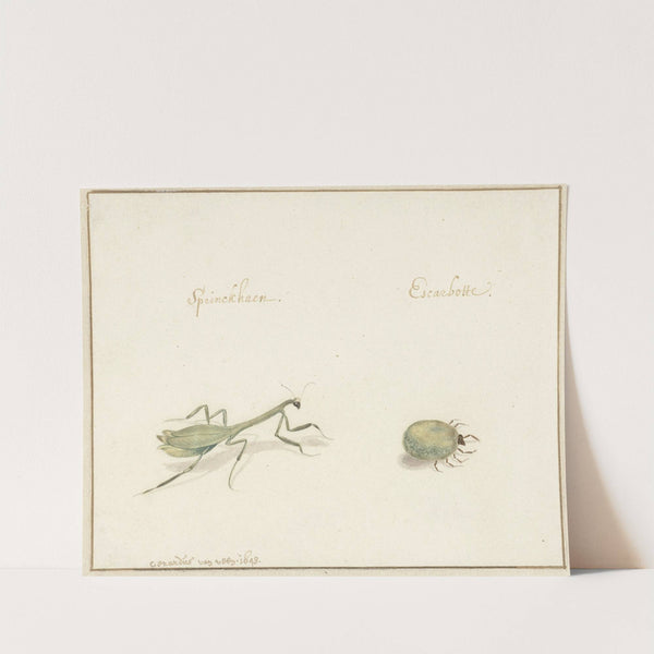 Twee insecten by Gerardus van Veen