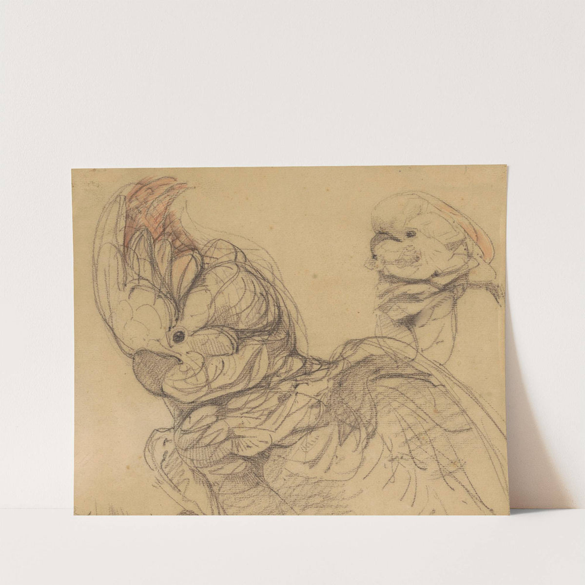 Twee kaketoes, ten halven lijven by Bernard Willem Wierink