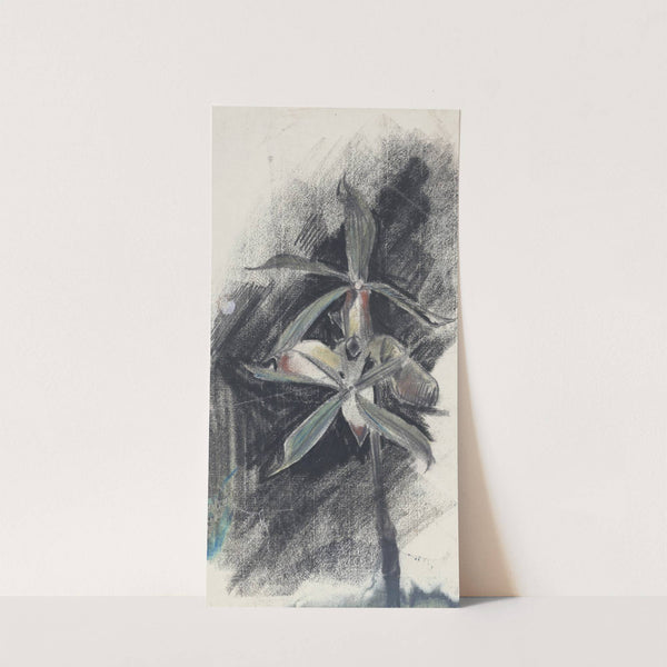 Twee orchideeën (1874) by Carel Adolph Lion Cachet