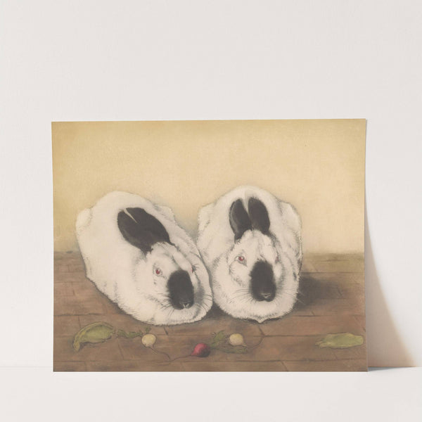 Twee ruskonijnen by Frans Everbag