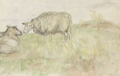 Twee schapen