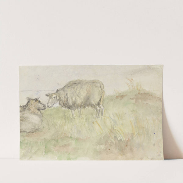 Twee schapen by Jozef Israëls