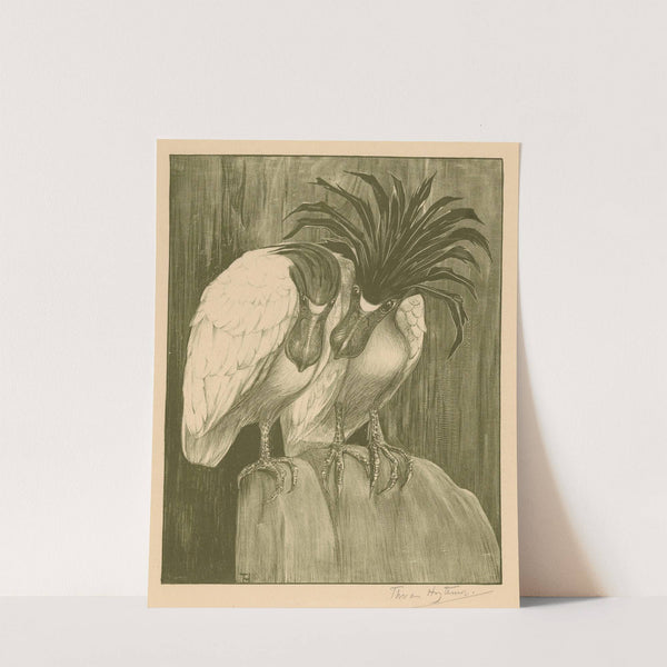 Twee schuitbekreigers by Theo van Hoytema