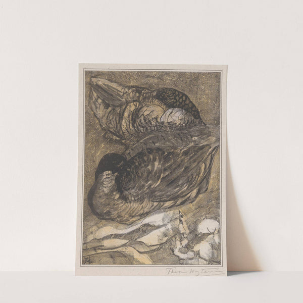 Twee slapende eenden by Theo van Hoytema